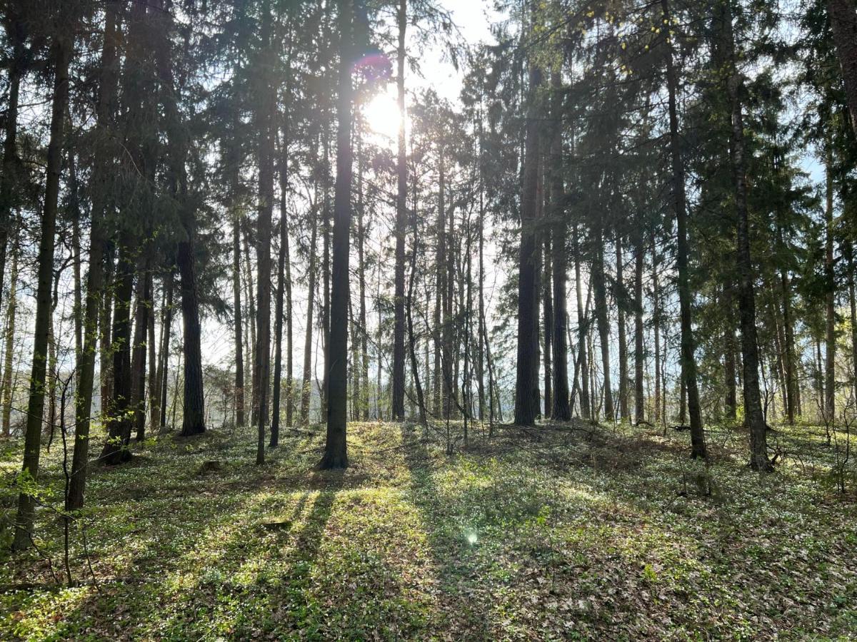 Raciborowka Daire Swietajno  Dış mekan fotoğraf